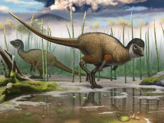 すべての恐竜に羽毛があった可能性