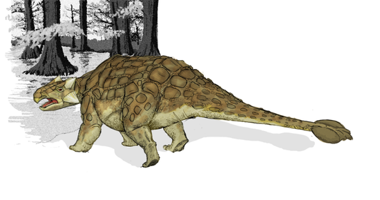 800px-Ankylosaurus_dinosaur