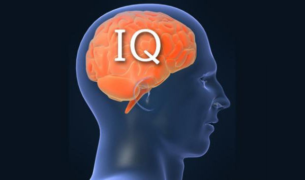 IQ会話