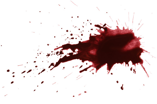 shutterstock_1022568118