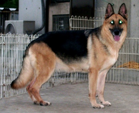2e39