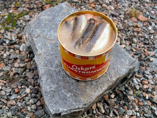800px-Surströmming