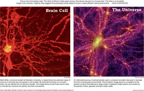 脳の神経細胞は宇宙と似ている？