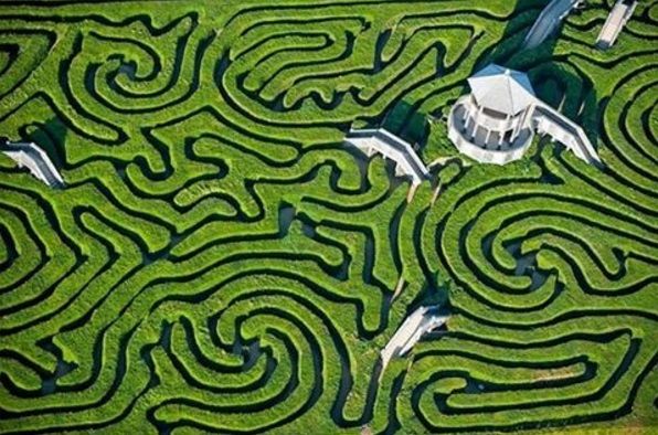 0_longhedgemaze