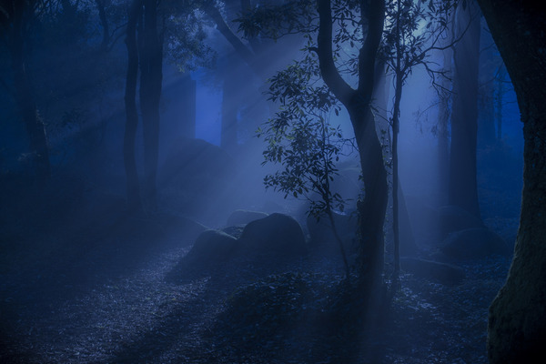 shutterstock_570922651