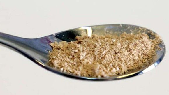 電気と空気から食料を生成することに成功、食糧危機に備えて