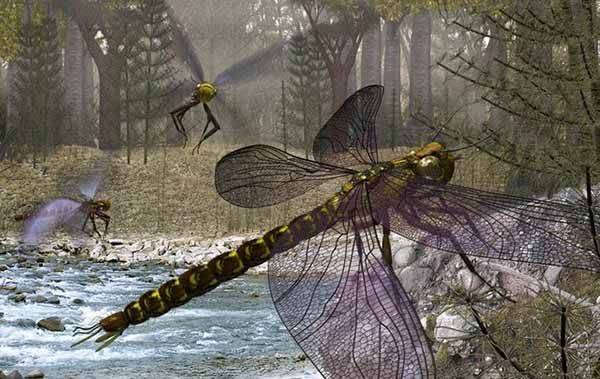 昆虫の起源、4億8000万年前と判明　従来より以前…13ヶ国チーム研究