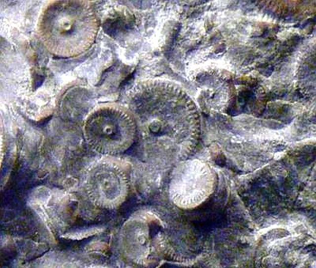 20120315142419_1_1