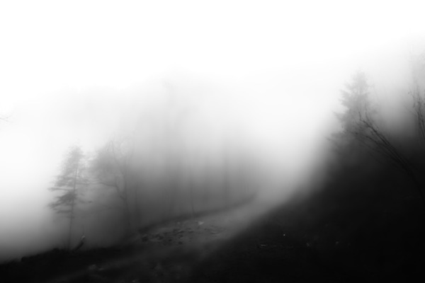 shutterstock_541898875