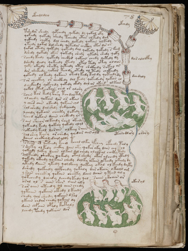 Voynich_Manuscript_(141)