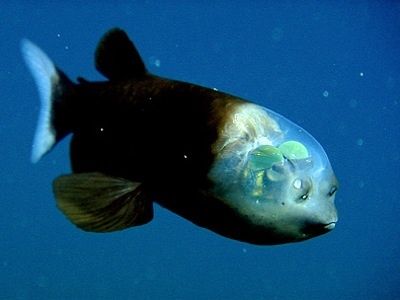 20120828211824_3_1