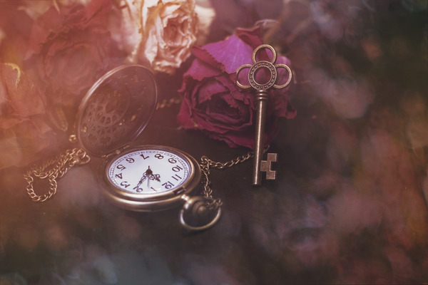 shutterstock_661622404