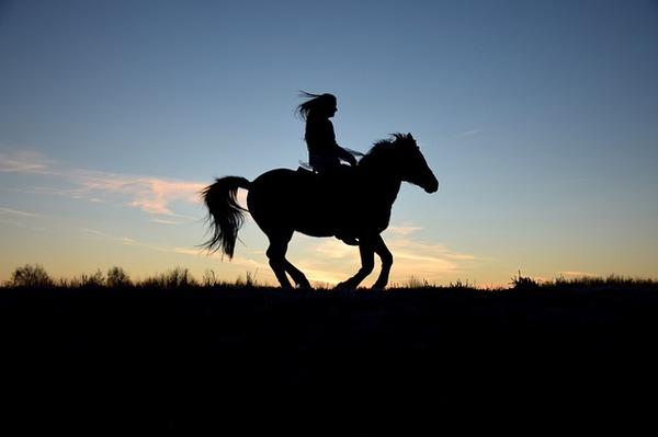 silhouette-2124183_640