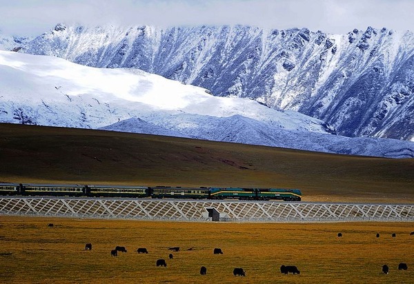Qinghai-Lhasa-Railway-is-one-of-the-worlds-great-train-journeys