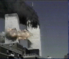 WTC1M