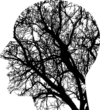 unknown-1769656_960_720