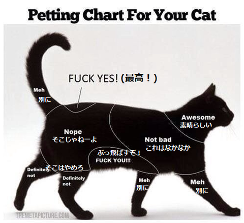 ねこのきもち