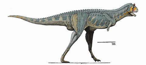 カルノタウルス