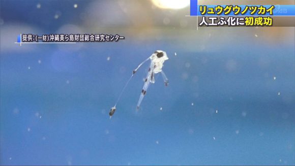 今日保存した最高の画像を転載するスレ 888 [無断転載禁止]©bbspink.com	->画像>863枚 