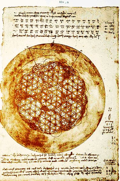 Leonardo_da_Vinci_–_Codex_Atlanticus_folio_307v