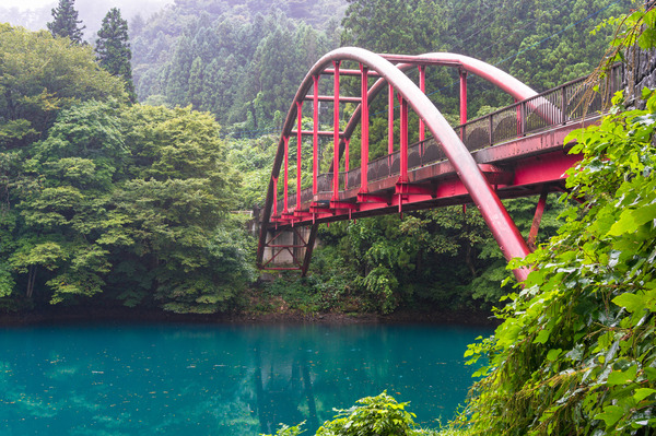 shutterstock_660082351