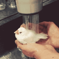 http://livedoor.blogimg.jp/worldfusigi/imgs/e/c/ec742411.gif