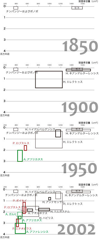 ミッシングリンク