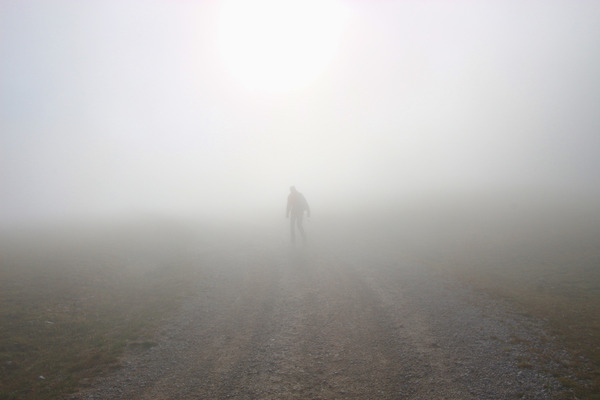 shutterstock_1222906321