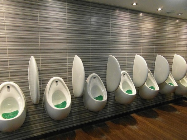 urinal-1666092_640