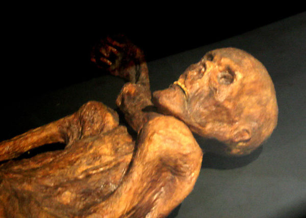 Otzi-Quinson