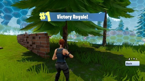 fortnite victory royale
