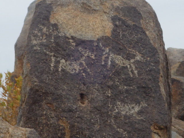 IMGP2959