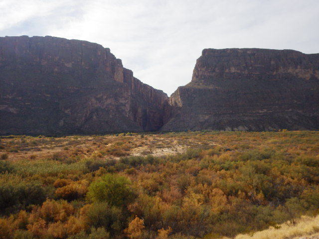 IMGP3019