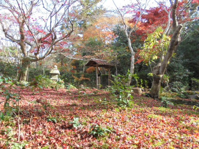 DSC02715
