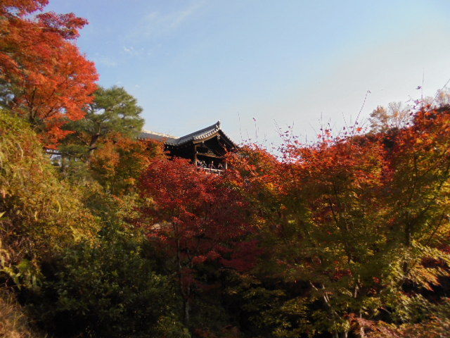 DSC02431