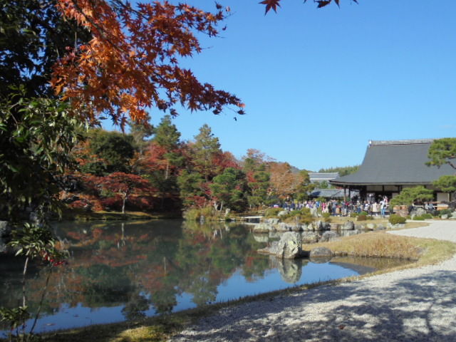DSC02389
