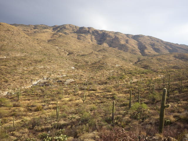 IMGP2984
