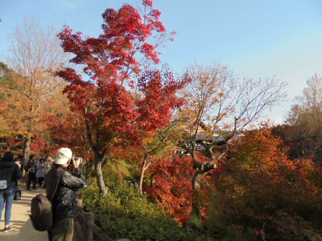 DSC02435