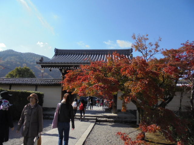 DSC02378