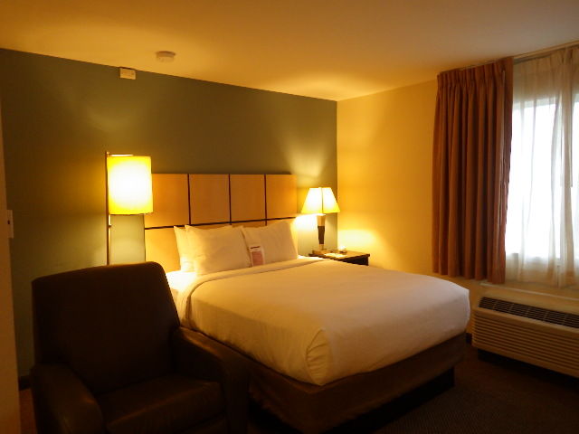 IMGP3111