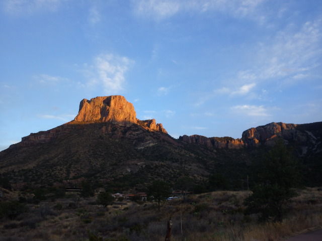 IMGP3097