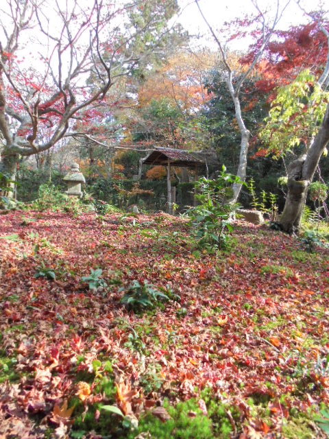 DSC02684