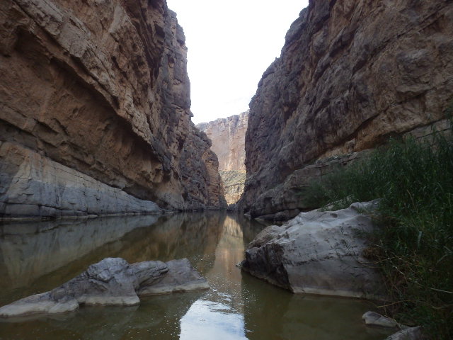IMGP3047