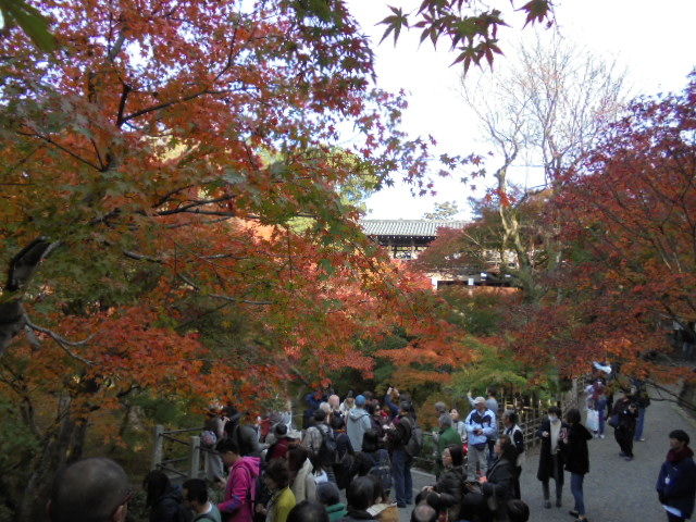 DSC02417