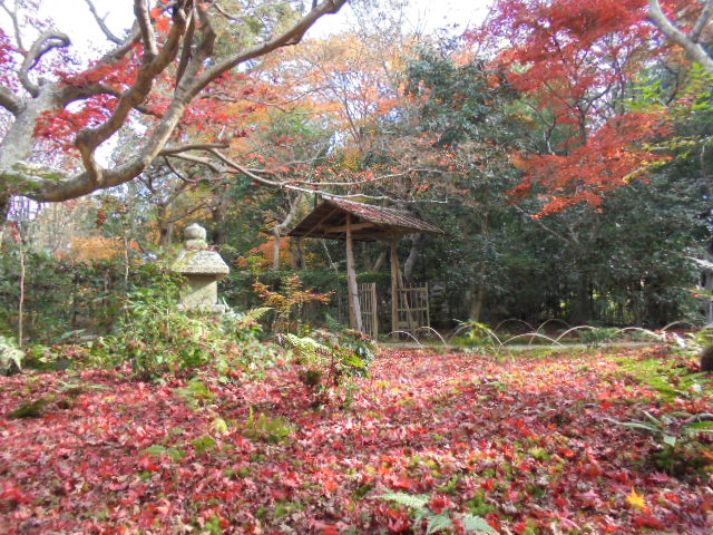 DSC02707