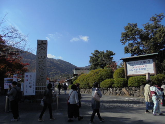 DSC02376