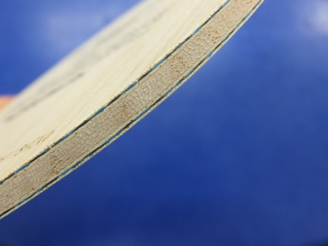 DSCF2321