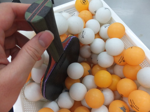 DSCF3126