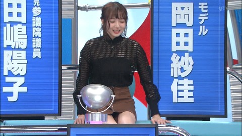 岡田紗佳・委員会