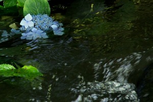 180705_04